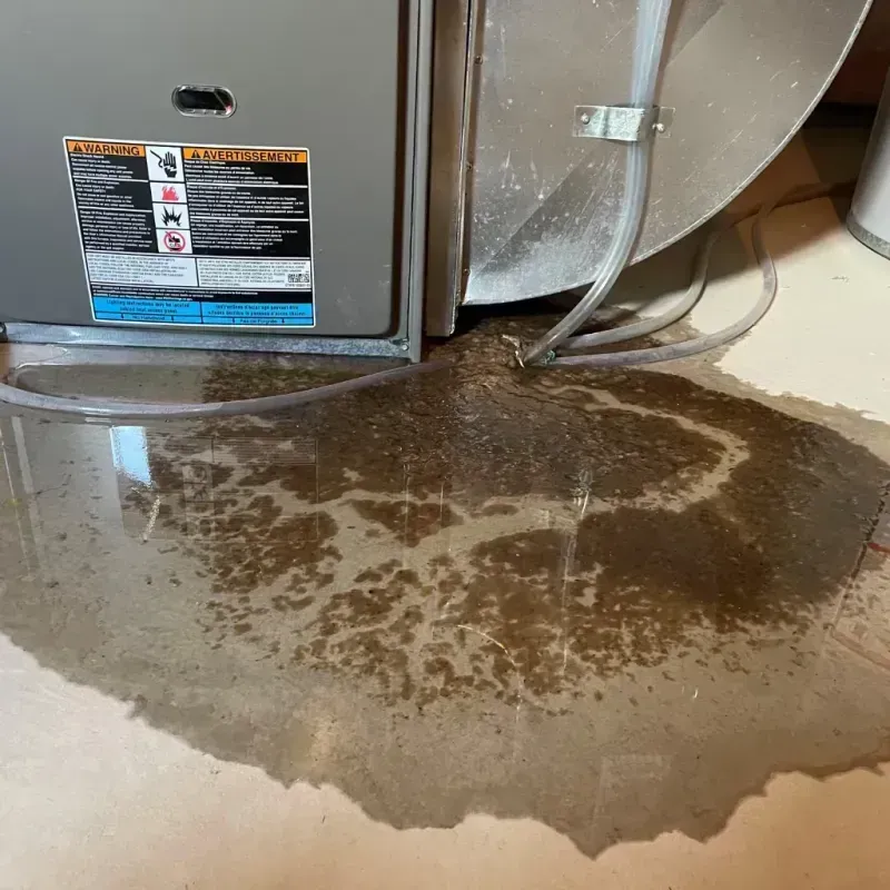 Appliance Leak Cleanup in Yates Center, KS